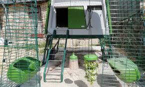 Omlet groen Eglu Cube groot kippenhok en ren met Omlet Caddi traktatiehouder en Omlet pikspeeltje