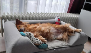 Anka in mand