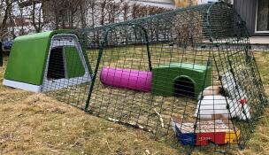 Omlet Eglu konijnenhok met ren, groen Zippi schuilhok, roze Zippi tunnel en twee konijnen