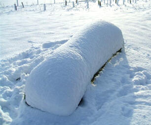 Eglu kippenhok bedekt met Snow