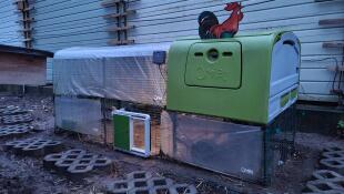 Groen Eglu Cube groot kippenhok en ren met Omlet groene automatische kippenhokdeur