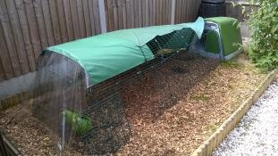 Eglu Go met 1 meter verlenging