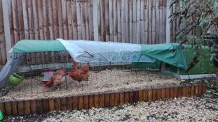 Eglu Go met 3-meter loop