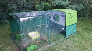 Groot groen Cube kippenhok met ren en overkapping aan de bovenkant en voederbakken voor de larven
