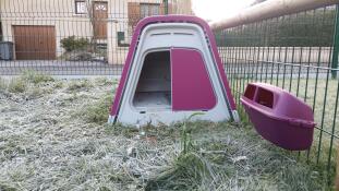 Een roze kippenhok en voederbak in een bevroren wintertuin