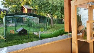 De Zippi konijnentunnel wordt gebruikt om cavia's buiten een huis te laten.
