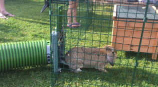 Eerste onderneming in mijn nieuwe baan