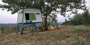 Omlet groen Eglu Cube groot kippenhok