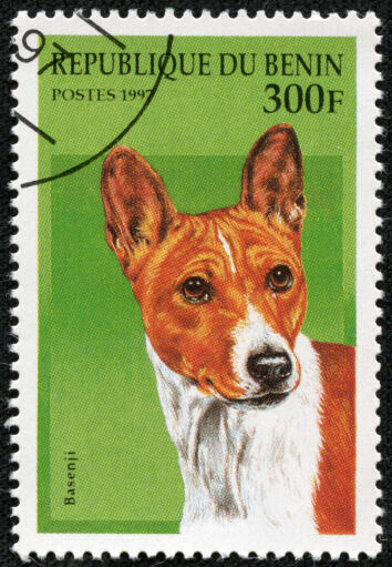 Een basenji op een west-afrikaanse postzegel 2