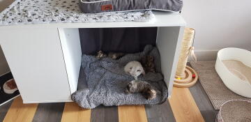 Kat ligt in Omlet Maya Nook