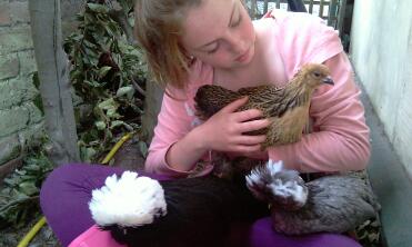 Katie en de kippen