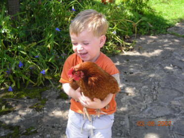 Teddy houdt voor het eerst zijn kip Rosiepop vast.