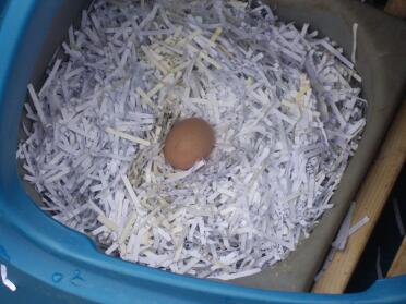 Ons eerste ei. Het beste paasei ooit!