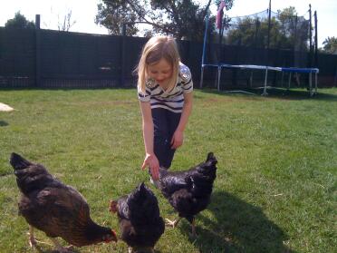 Lucy die de kippen voert.