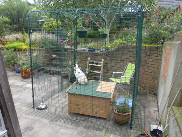 Een kattenpen voor YoYo