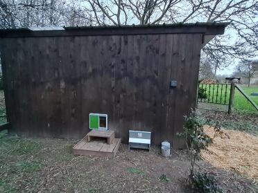Deur Omlet geïnstalleerd op een groot houten kippenhok. binnen 15 minuten waren mijn kippen veilig en was ik opgelucht dat ik de deur niet meer hoefde te openen en te sluiten.