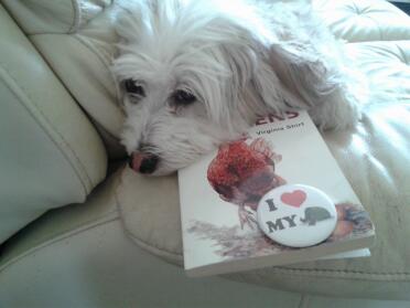 molly de hond die de omslag van het kippenboek bewondert