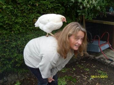 Kip die op de rug van een vrouw staat