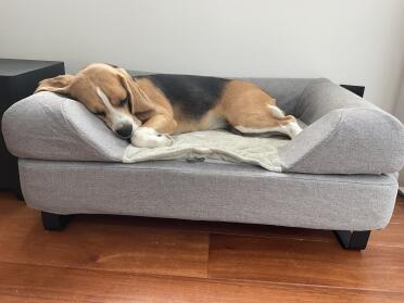 Mia geniet ten volle van haar luxe bed!