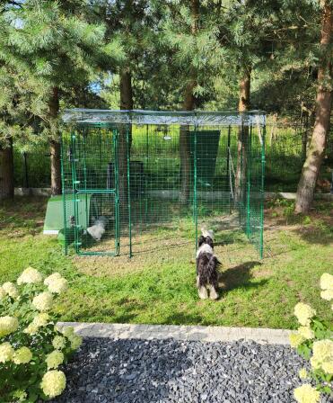 Inloop loopbrug 3x2x2