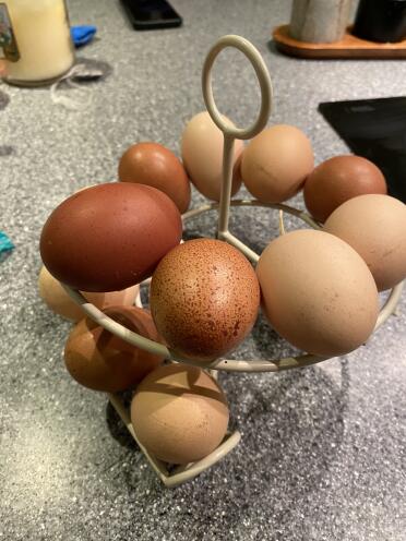 Eieren op skelter