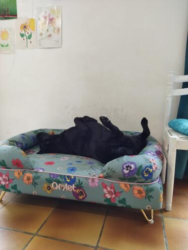 Mooie gardenia salie hoes voor bolster hondenmand