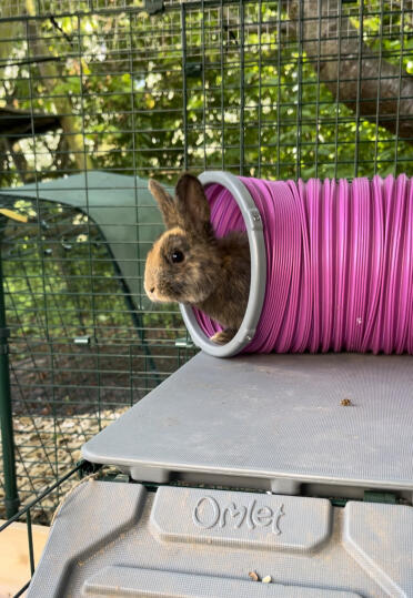 Margriet in haar nieuwe lievelingstunnel