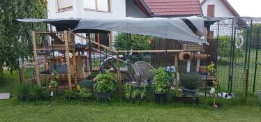 Een grote catio met veel accessoires omringd door planten