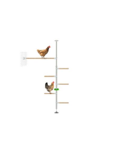 Poletree kippenpoot Staketsysteem voor kippenren - de hendurance kit