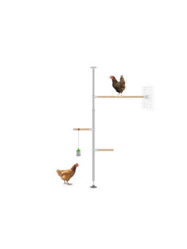 De eiercicheset voor Poletree aanpasbare baarsboom