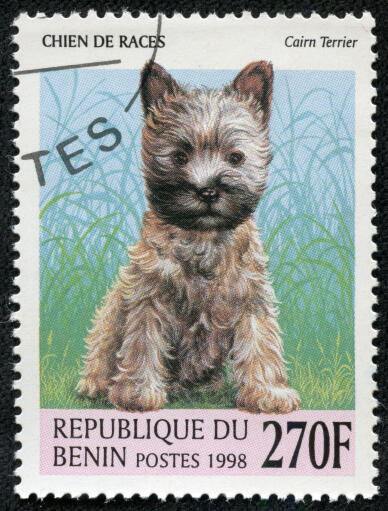 Een cairn terriër op een west-afrikaanse postzegel