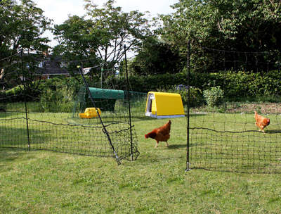 Omlet Chicken Fencing - 32 metres - Inc. Gate, Double Spike Poles and Guy Lines