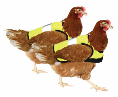 Geel Hi-Vis Kippenvest Duopak