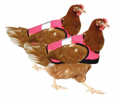 Roze Hi-Vis Kippenvest Duopak