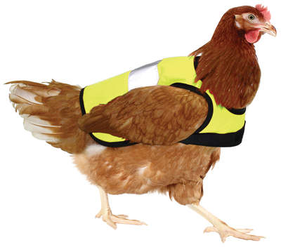 Geel Hi-Vis Kippenvest
