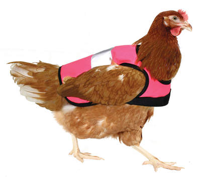 Roze Hi-Vis Kippenvest