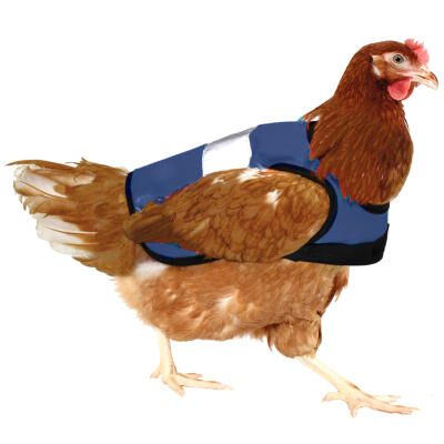 Blauw Hi-Vis Kippenvest