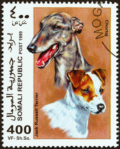 Een jack russell terrier en een chortaj op een afrikaanse postzegel
