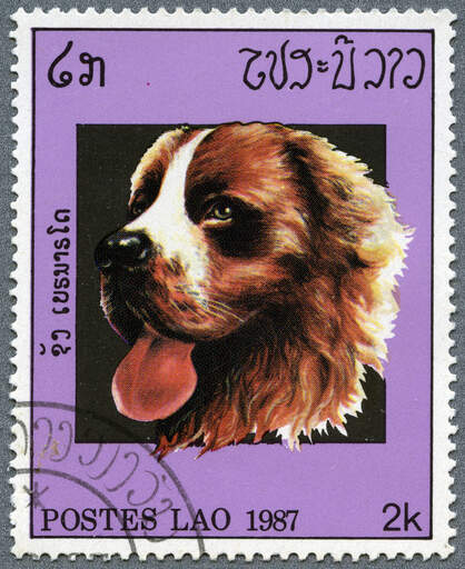 Een berner berghond op een zuidoost aziatische postzegel