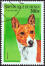 Een basenji op een west-afrikaanse postzegel 1