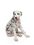 Een lieve kleine dalmatiër puppy die comfortabel zit