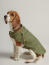 Hond die joules hond regenjas draagt Hond die joules hond regenjas draagt