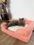 Een kat die rust op een koele mat die op een kattenbed ligt.