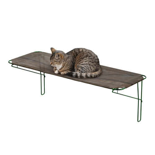Kat rustend in een kattenplank voor buiten voor een catio