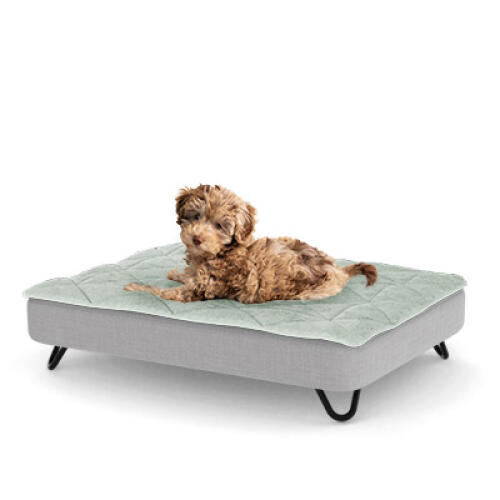 Een puppy rustend op het kleine Topology puppybed met zwarte metalen haarspeldvoeten