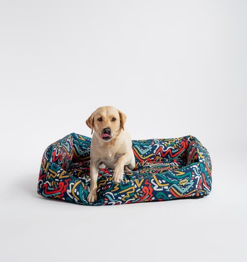 Kleine retriever in een Omlet nestbed in de zoomies print