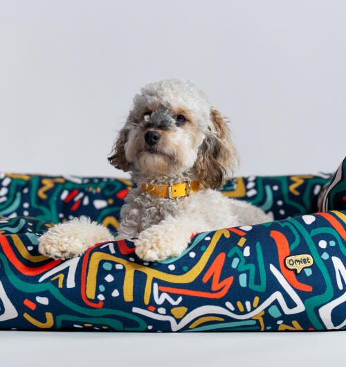 Hond liggend op een Omlet nest bed in de zoomies print