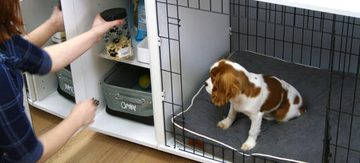 Berg de snoepjes voor de puppytraining veilig op in de garderobekast