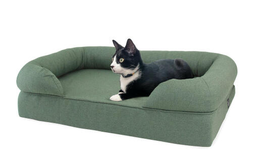 Omlet traagschuim ligbed voor katten in saliegroen met kat erop