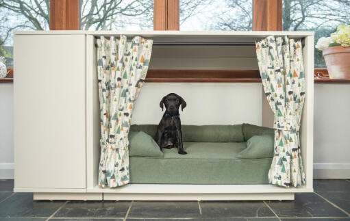 Een kleine zwarte hond op een groen bolsterbed binnen een Fido Studio met een kleerkast eraan en Gordijnen ervoor